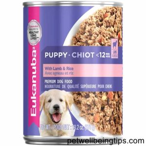 3 Best Wet Foods for Puppies -Benefits of Puppy Food Wet