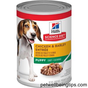 3 Best Wet Foods for Puppies -Benefits of Puppy Food Wet