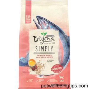 5 Best Food for Cats With Allergies