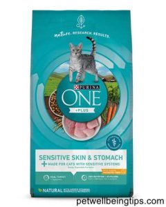 5 Best Food for Cats With Allergies