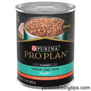 3 Best Wet Foods for Puppies -Benefits of Puppy Food Wet